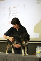 /album/fotogaleria-galeria/img-5141-jpg/