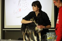 /album/fotogaleria-galeria/img-5144-jpg/