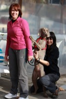 /album/fotogaleria-galeria/img-5179-jpg/